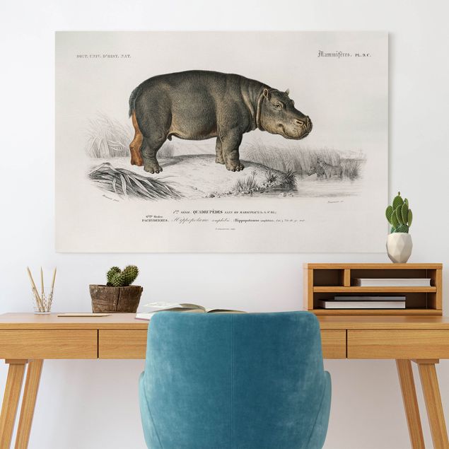 Tableaux paysage Tableau Vintage hippopotame