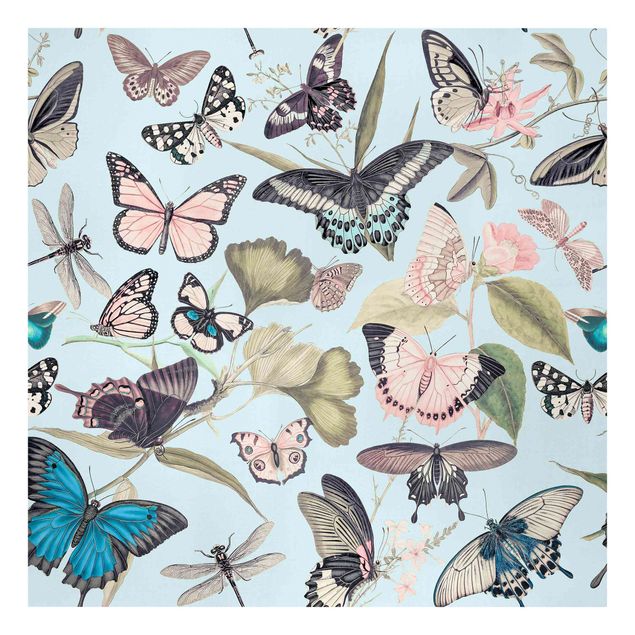 Tableau animaux Collage Vintage - Papillons et Libellules