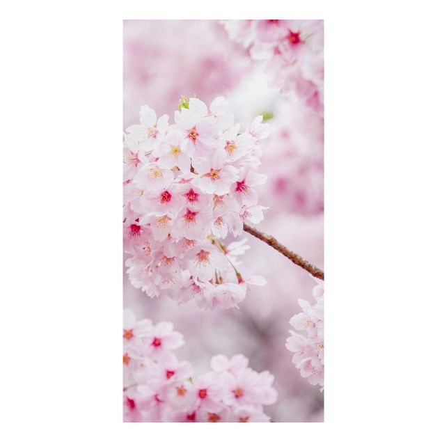 tableaux floraux Japanese Cherry Blossoms