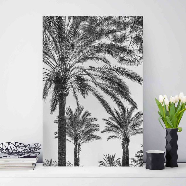 Déco murale cuisine Palmiers au coucher du soleil noir et blanc