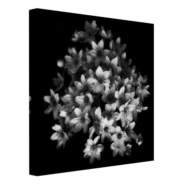 Tableaux sur toile en noir et blanc Bouquet de clématites foncé