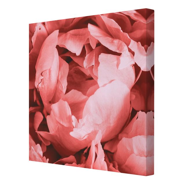 Tableau rose Pivoine Fleur Corail