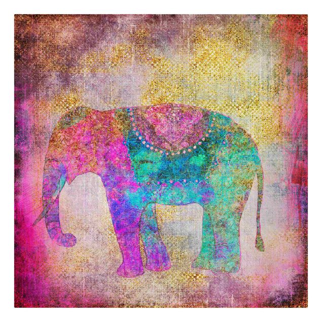 Tableau zen Collage coloré - Éléphant indien
