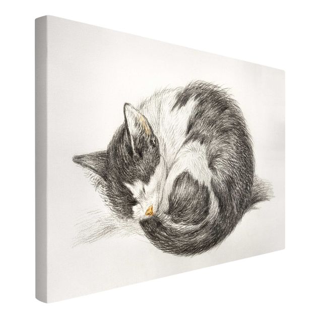 Tableaux sur toile en noir et blanc Vintage Drawing Cat II