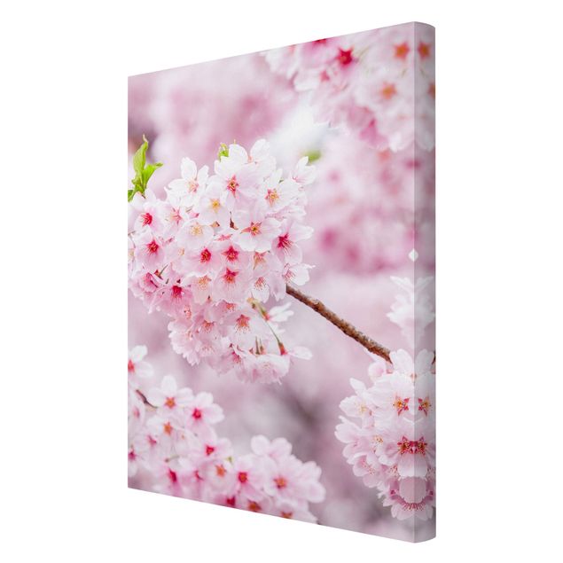 Tableau de ville Japanese Cherry Blossoms