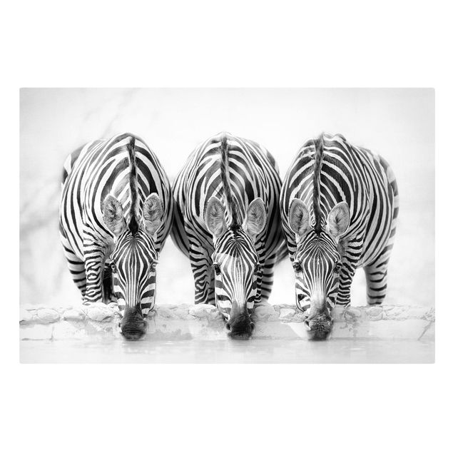 Tableaux modernes Trio de zèbres en noir et blanc