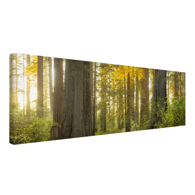 Tableau moderne Parc national Redwood