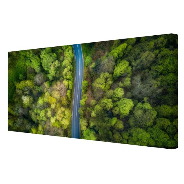 Tableau toile paysage Vue aérienne - Route asphaltée dans la forêt