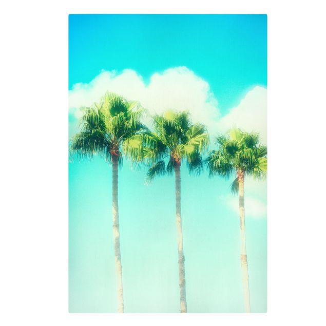 Tableau nature Palmiers Contre Ciel Bleu