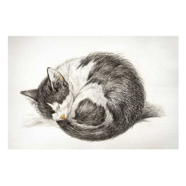 Cadre animaux Vintage Drawing Cat II