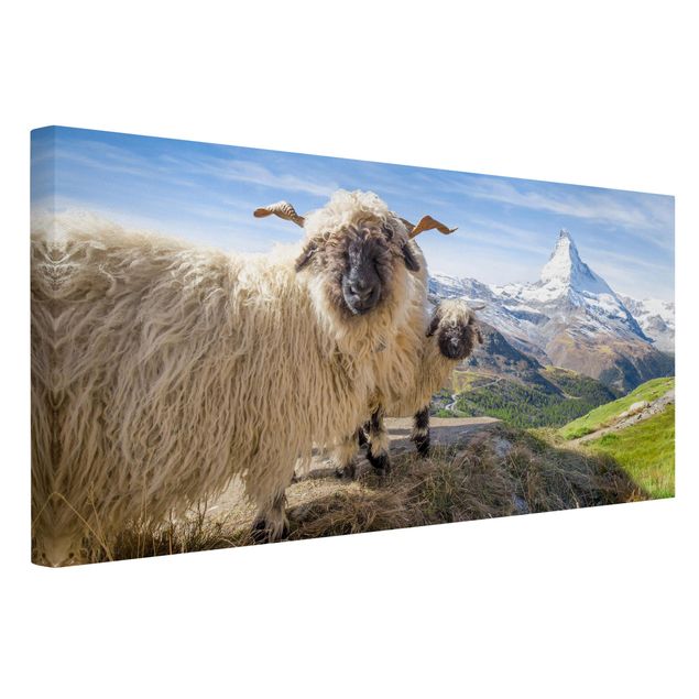 Toile paysage montagne Moutons à nez noir de Zermatt