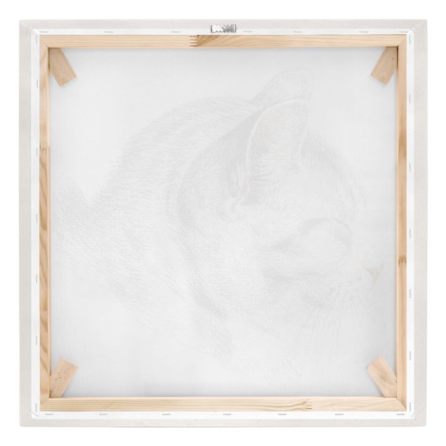 Tableau toile animaux Dessin vintage Chat III