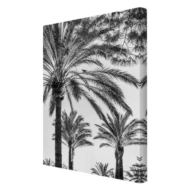 Tableaux sur toile en noir et blanc Palmiers au coucher du soleil noir et blanc