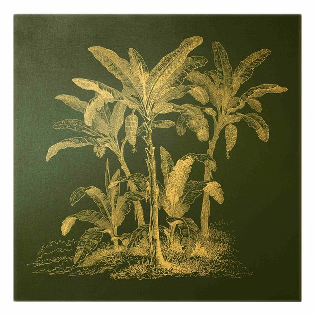 Tableaux nature Illustration Bananiers sur fond vert