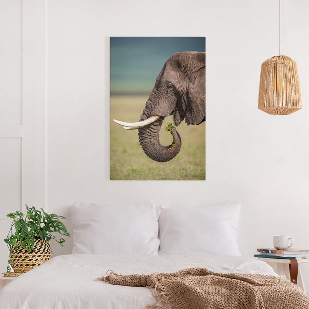 Tableau éléphants Nourrir des éléphants en Afrique