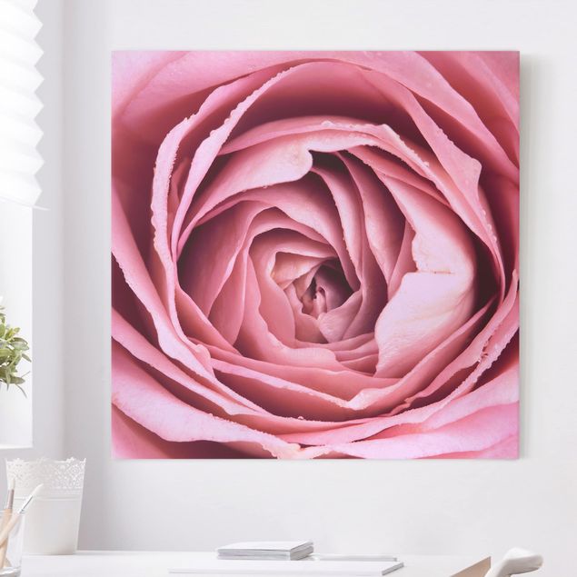 Déco murale cuisine Fleur de Rose rose