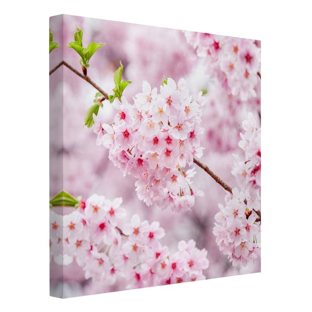 Tableaux moderne Japanese Cherry Blossoms