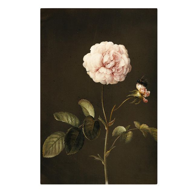 Tableaux fleurs Barbara Regina Dietzsch - Rose française avec Bumblbee
