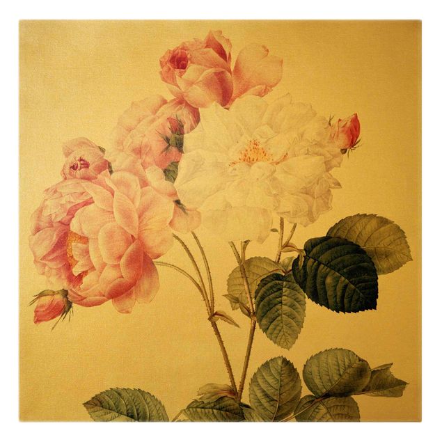 Tableaux fleurs Pierre Joseph Redoute - Damascena Rose