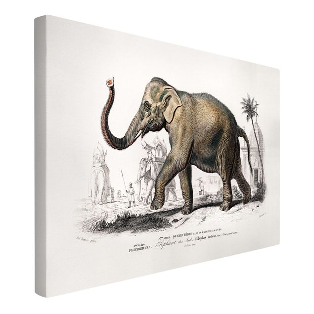 Toile imprimee elephant Tableau Vintage Éléphant
