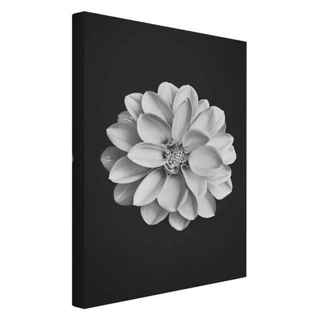 Tableaux sur toile en noir et blanc Dahlia Noir et Blanc