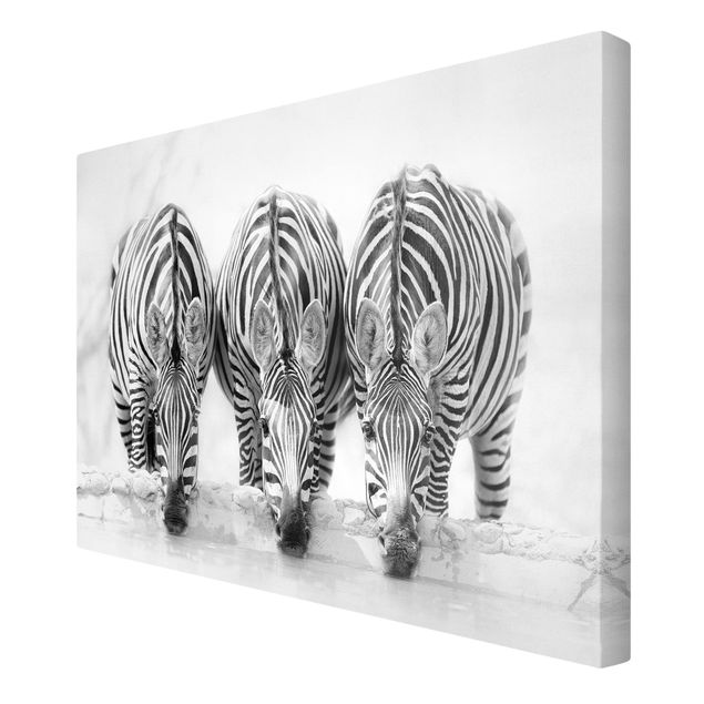 Tableaux animaux Trio de zèbres en noir et blanc