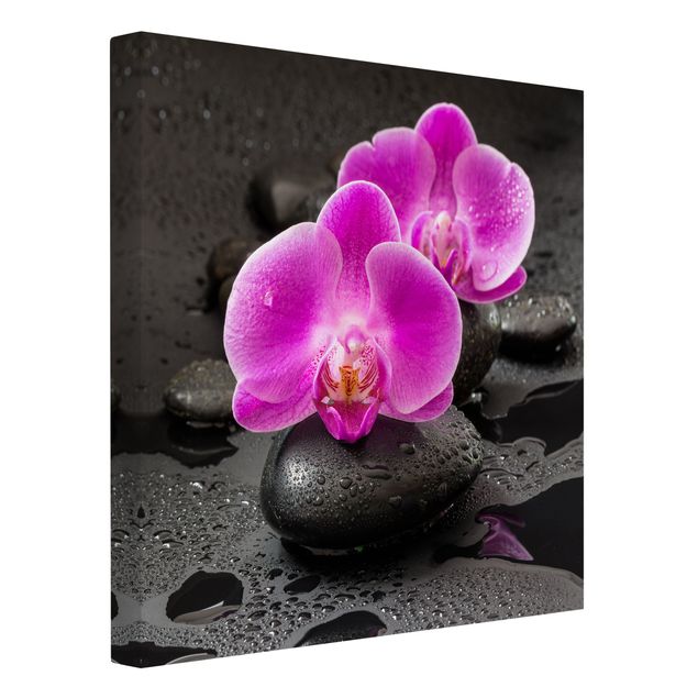Tableaux sur toile effet pierre Fleur Orchidée Rose sur Pierres avec Gouttes