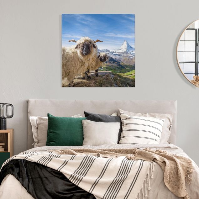 Tableau montagne Moutons à nez noir de Zermatt