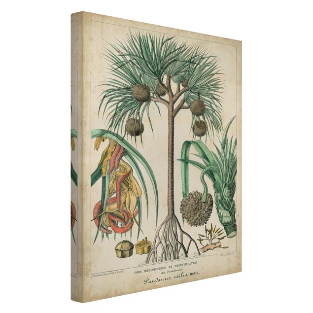 Tableaux nature Tableau Vintage Palmiers exotiques I