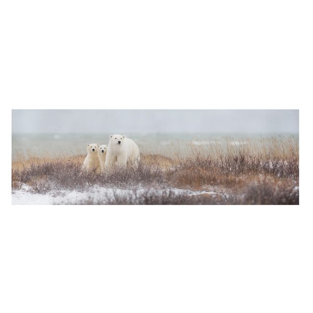 Tableau toile animaux Ours polaire et ses petits