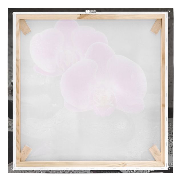 Tableau spirituel Fleur Orchidée Rose sur Pierres avec Gouttes