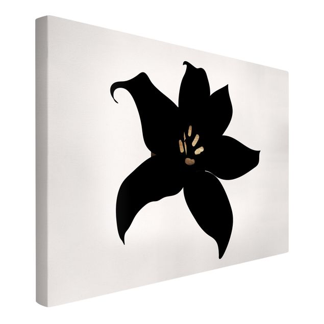 Toile orchidée Monde végétal graphique - Orchidée noire et or