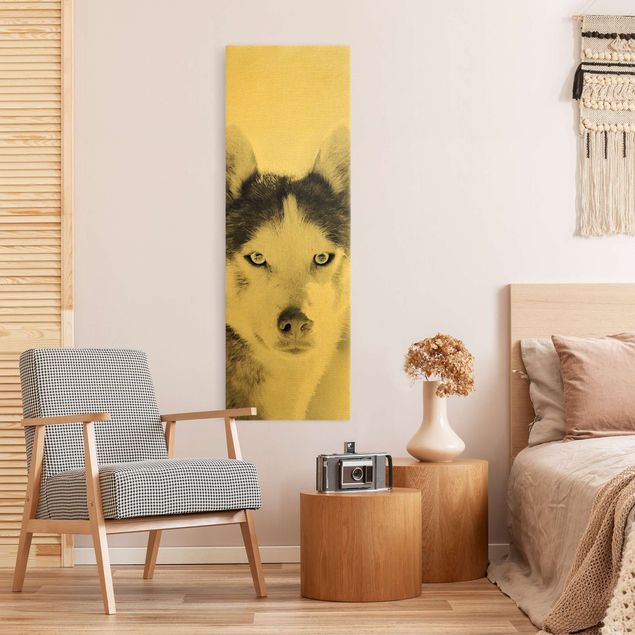 Tableau toile chien Portrait d'un Husky