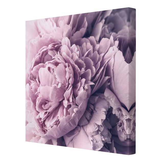 Tableaux lilas Fleurs de pivoines violettes