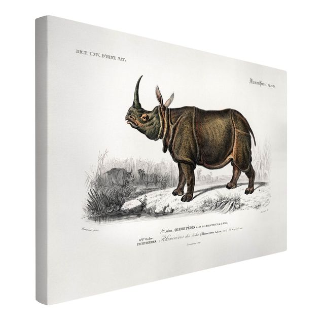 Cadre animaux Tableau Botanique Rhino