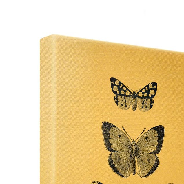 Tableau décoration Papillons à l'encre sur fond beige