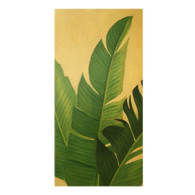 Tableau vert Plantes préférées - Banane