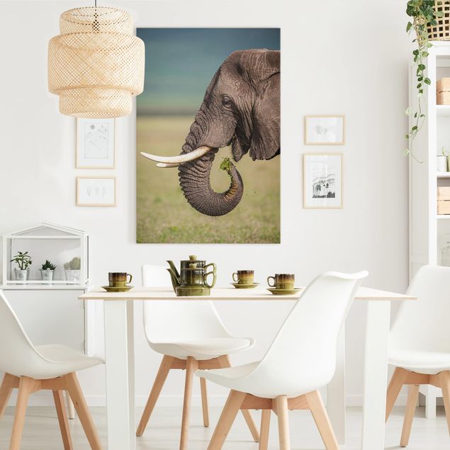Toile elephant Nourrir des éléphants en Afrique