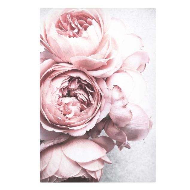 Tableau amour Fleurs de Pivoine Rose Clair Pastel Shabby