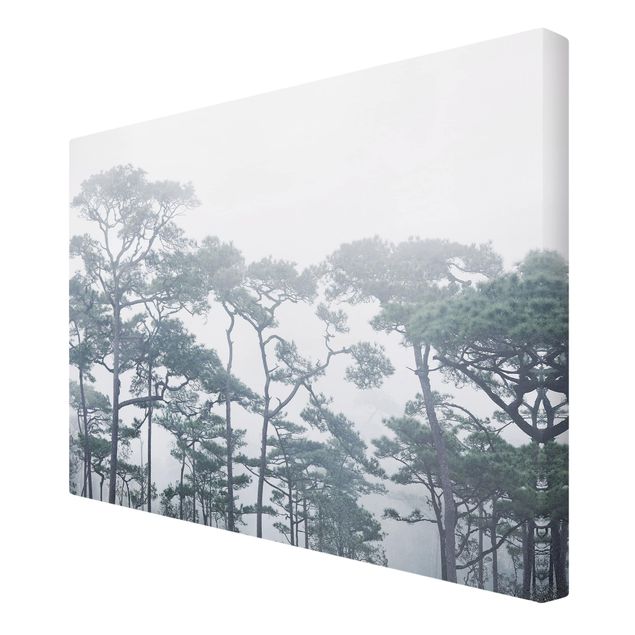 Tableau toile paysage Cimes d'arbres dans le brouillard