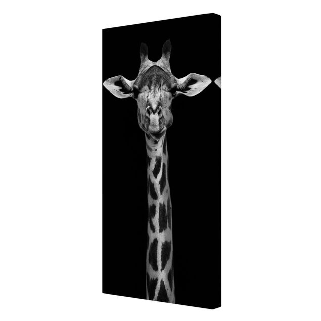 Cadre animaux Portrait de girafe sombre
