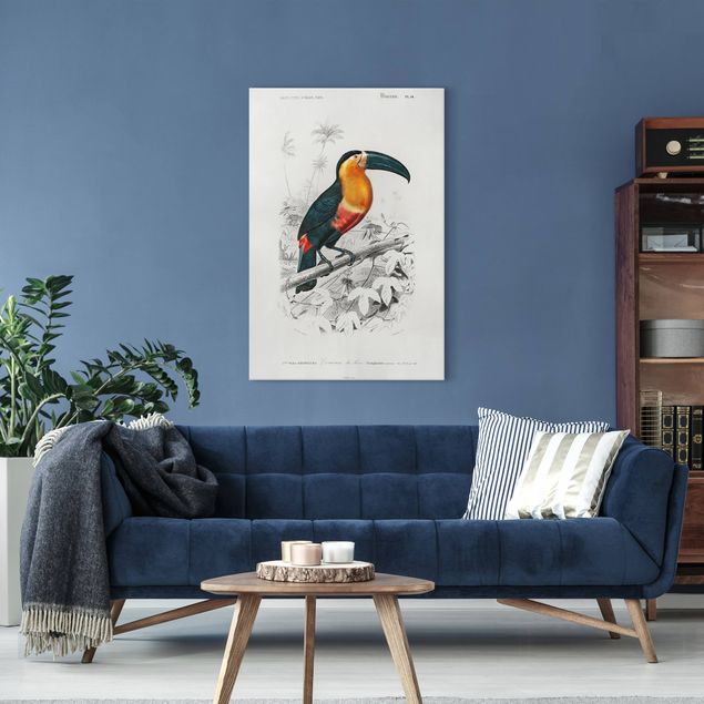 Tableaux oiseaux sur toile Tableau Vintage Toucan Noir Jaune