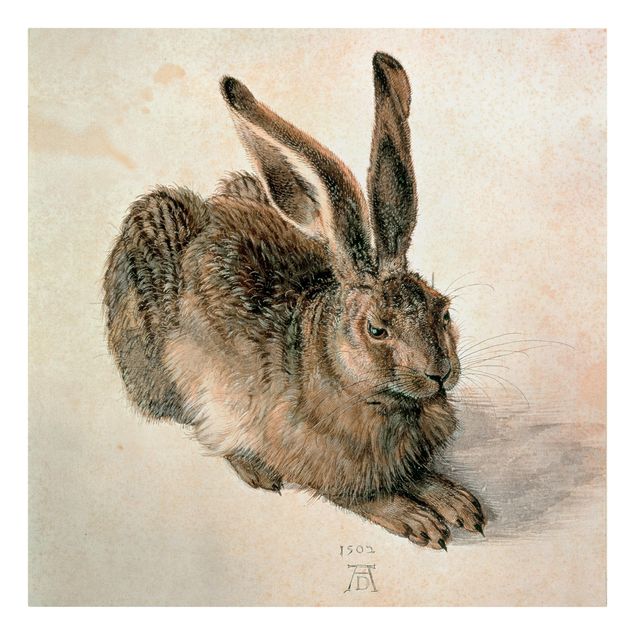 Tableau style vintage Albrecht Dürer - Jeune lièvre