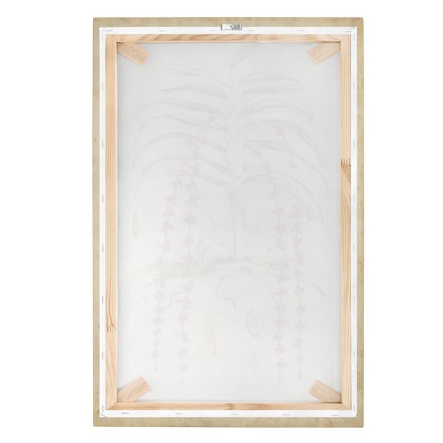 Impression sur toile - Vintage Board Exotic Palms IV