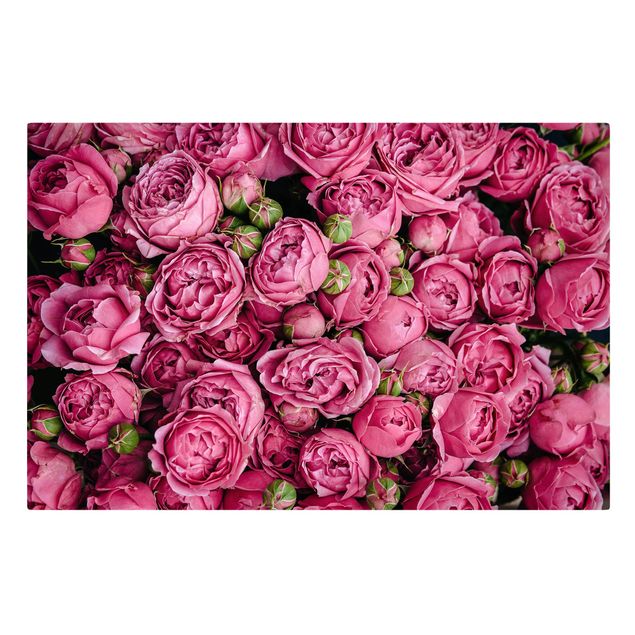 Tableaux amour Pivoines roses