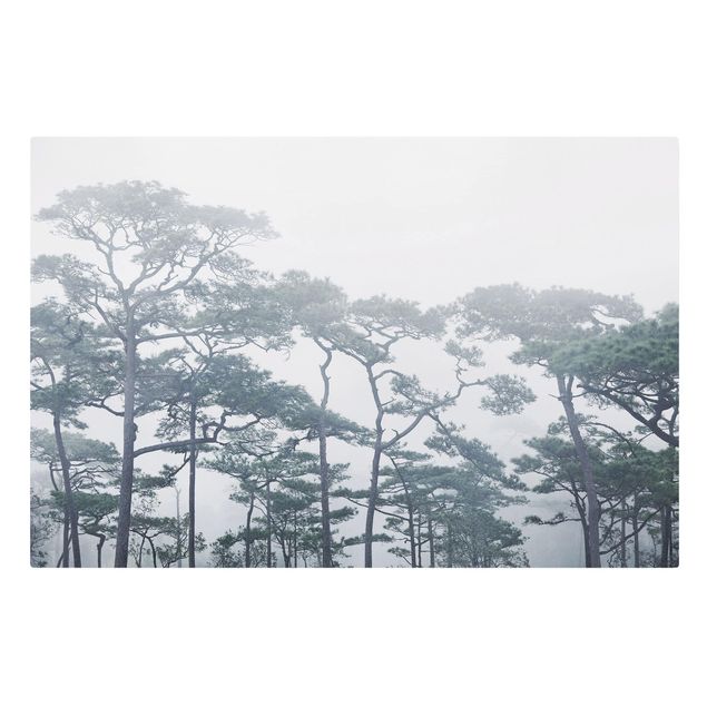 Tableau deco nature Cimes d'arbres dans le brouillard