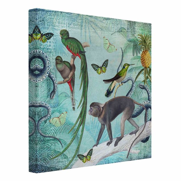 Tableaux oiseaux sur toile Collage de style colonial - Singes et oiseaux de paradis