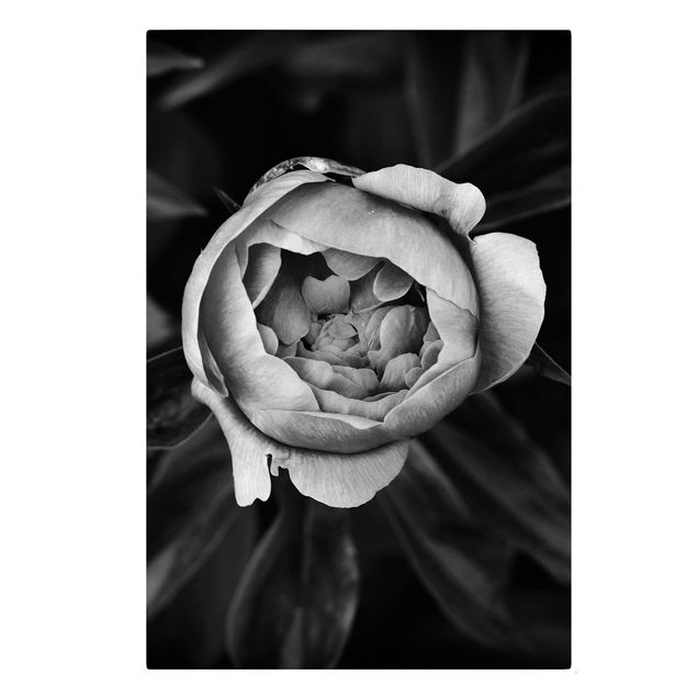 Tableaux sur toile en noir et blanc Pivoine et feuilles noir et blanc