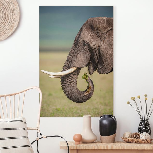 Déco murale cuisine Nourrir des éléphants en Afrique
