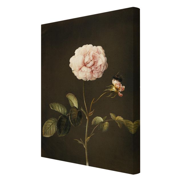 Tableaux florals Barbara Regina Dietzsch - Rose française avec Bumblbee